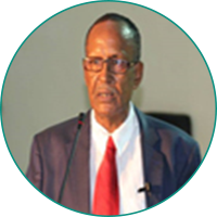 hamid hamid